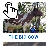 The Big Cow Button