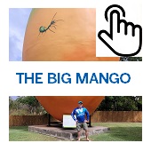The Big Mango Button