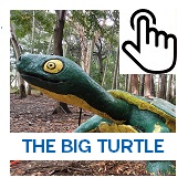 The Big Turtle Button