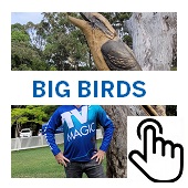 Big Birds Button