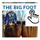 The Big Foot Button
