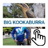 The Big Kookaburra Button