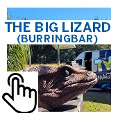 The Big Lizard Burringbar Button