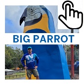The Big Parrot Button