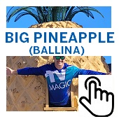 The Big Pineapple Ballina Button