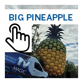 The Big Pineapple Button