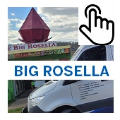 The Big Rosealla Button