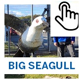 The Big Seagull Button