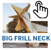 bIG FRILL NECK BUTTON