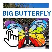 The Big Butterfly Button