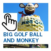 The Big Golf Ball and Monkey Button