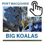 The Big Koalas Port Macquarie Button