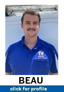 BEAU WILLIAMS TV MAGIC