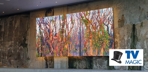 a stunning digital mural in an outdoor community setting with a TV Magic logo in bottom right corner