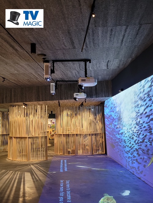 massive video wall combining both wall and floor.
