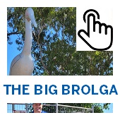 The Big Brolga Button
