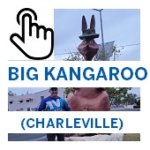 The Big Kangaroo Charleville