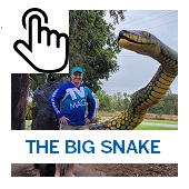 The Big Snake Button