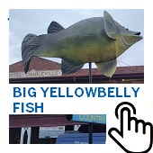 The Big Yellowbelly Fish