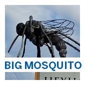 Big Mosquito Button