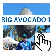 The Big Avocado1 Button