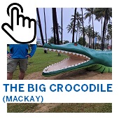 The Big Crocodile Mackay Button