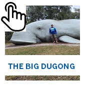 The Big Dugong Button