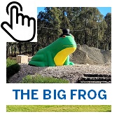 The Big Frog Button