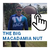The Big Macadamia Nut Button
