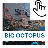 The Big Octopus Button