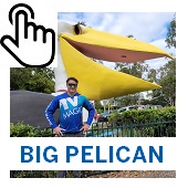 The Big Pelican Button