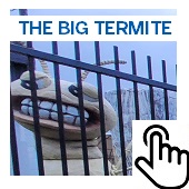 The Big Termite Button