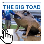 The Big Toad Button