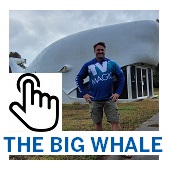 The Big Whale Yeppoon Button