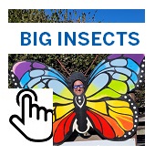 Big Insects Button