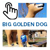 The Big Golden Dog Button