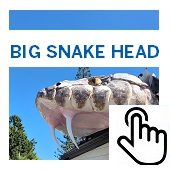 The Big Snake Head Button
