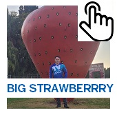 The Big Strawberry Button