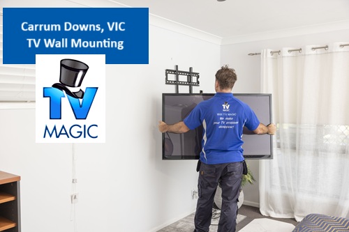 Carrum downs VIC TV Wall Mounting