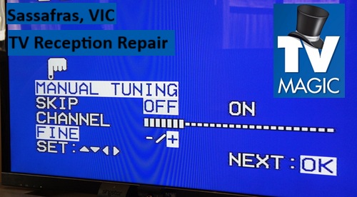 Sassafras VIC TV Reception Repair