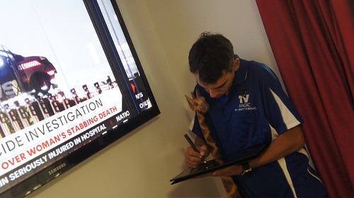 Technician performing a TV insurance repair assessment
