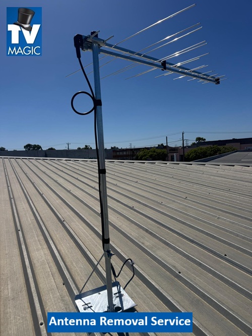 Aldgate SA Antenna Removal Service