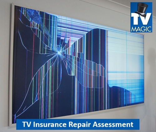 Aldgate SA TV Insurance Repair Assessment