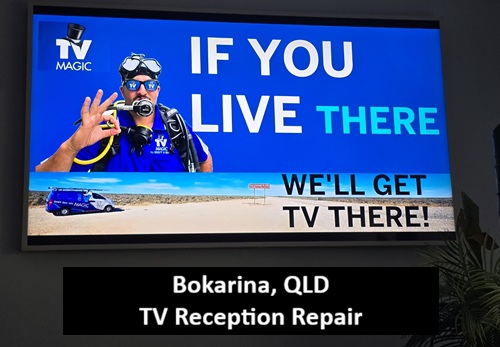 Bokarina QLD TV Reception Repair