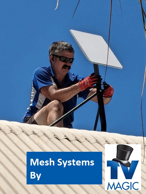 Technician - Adrian, on a roof with a Starlink system. Caption "Mesh systems by TV Magic"