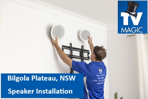 Bilgola Plateau NSW Speaker Installation