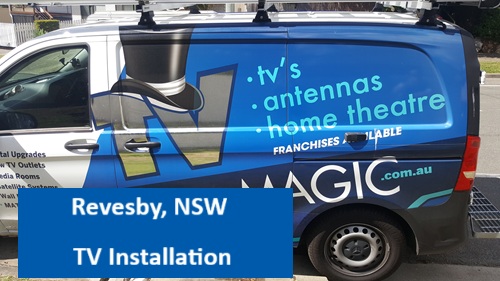 Revesby NSW TV Installation