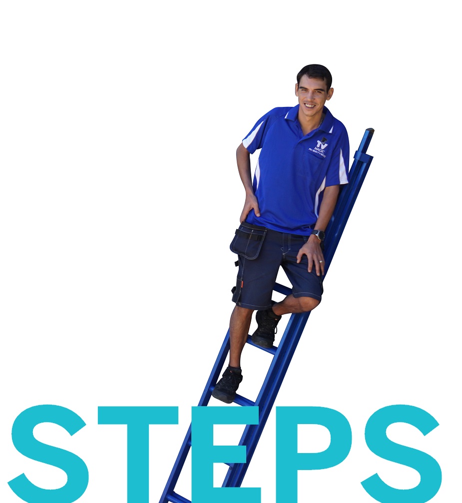 STEPS