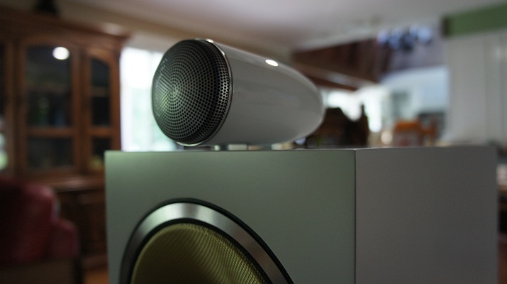 Front Left Speaker tweeter