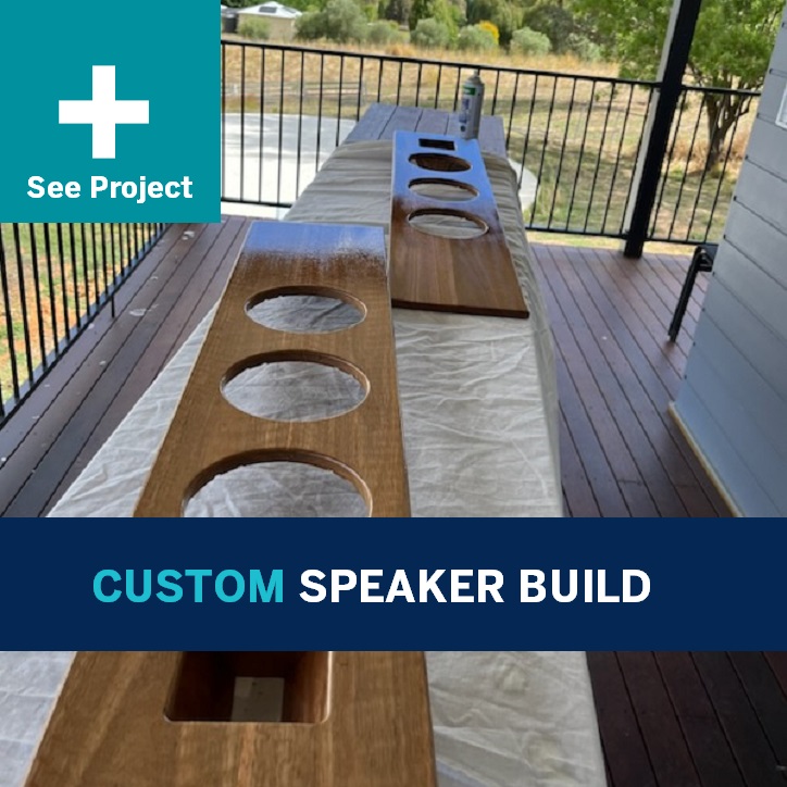 custom speaker build